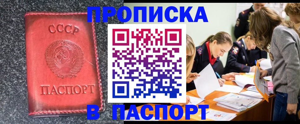 прописка для школы в Павловске